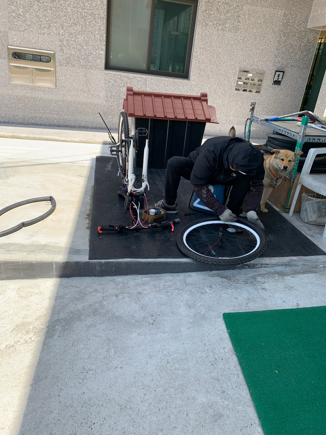 울산 동구 알톤 자전거 매장 울산 동구 알톤 자전거 매장