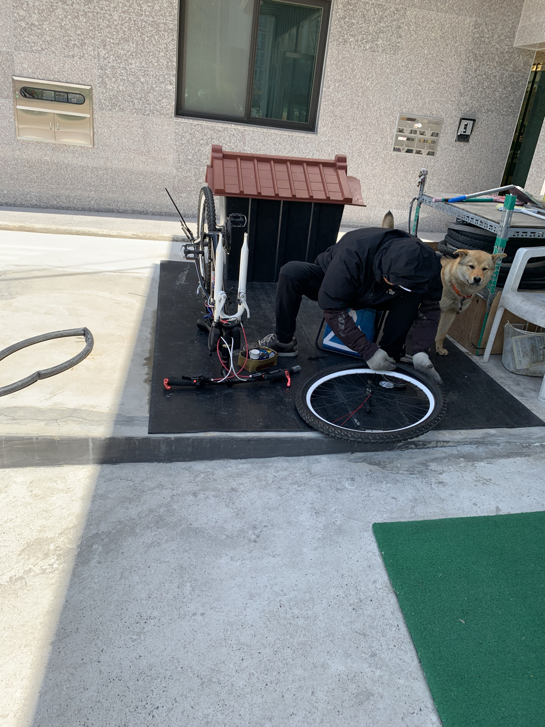 울산 동구 알톤 자전거 매장