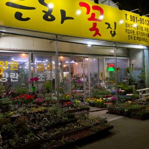 꽃집,꽃다발,꽃바구니,반려식물,