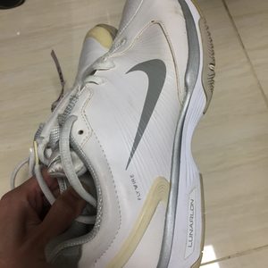 정품 NIKE 나이키 테니스화 테니스 슈즈 테니스 운동화 테니스 스니커즈 245 사이즈