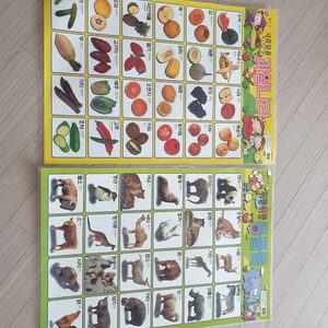 벽그림 과일.동물 붙였다.떼었다동물놀이