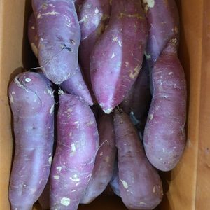 꿀청고구마(긴특) 11,500~ 택포