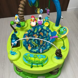 이븐플로 쏘서 엑서쏘서 아마존쏘서