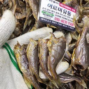 반건조깡다리/목포먹갈치/3단병어/신안뻘낙지