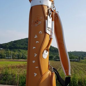 여성골프채풀세트 갈라시아 하프백 새상품 예쁜 아이언세트
골프가방 명품 갈라시아 하프백 새상품
연습용
풀세트