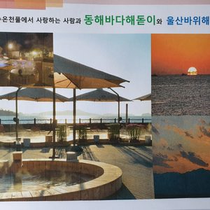 🥰강원도 카지노 PUB 호텔 분양🥰
