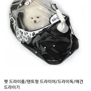 애견드라이룸 강아지드라이 펫드라이