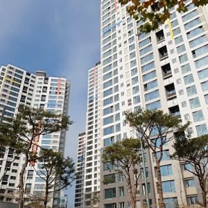 ■sh 아파트 장기전세 특별공급■청약 통장 필요 없슴■대치 래미안팰리스 , 서초 네이쳐힐 외 19개 택지지구