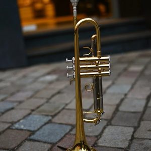트럼펫 레슨 합니다