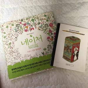 컬러링북 / 네이처 프랑스 정통 컬러링북 + 일러스트레이터의 컬러링북