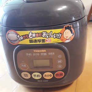110v 전기밥솥