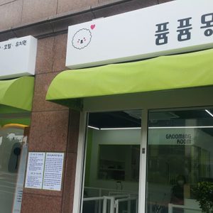 퓸퓸몽