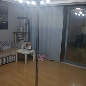 폴댄스 폴,스핀댄스 폴 정리합니다.