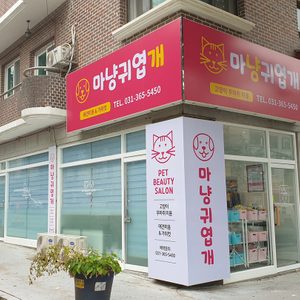 마냥귀엽개~~♡ 애견미용 가위컷, 고양이 무마취 미용