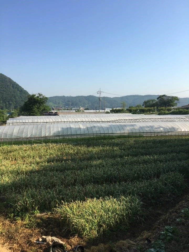 승일농장