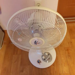 신일선풍기,헤어드라이,선풍기,단스,트렁크,화이트보트