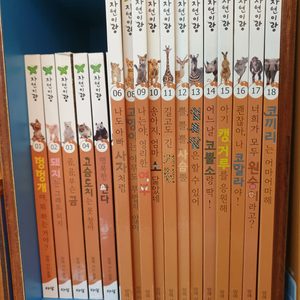 꼬꼬마 자연이랑 자연관찰전집 82권 특A급 CD 세이펜가능 부록포함