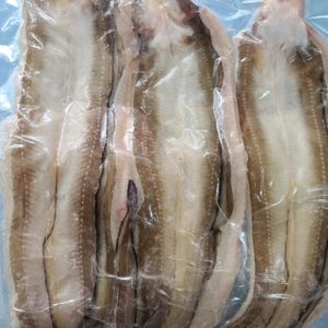 한결수산입니다~~오늘은! 막잡은 붕장어! 왔어요^^ 장어.붕장어