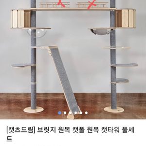 캣츠드림 캣폴&캣타워
