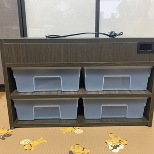 렉사육장 2열2층 팝니다. 파충류, 게코, 양서류 사육. 자동온도조절 제품. 렉사