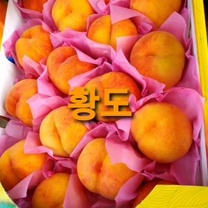 🍑황도/백도 4.5kg~5kg(14개-16개) 1박스 2먄원 직거래,택배거래 가능합니다🍑