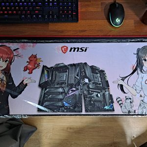 msi 장패드 (므시걸 장패드) 팝니다