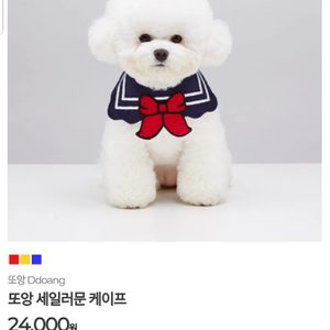반려견 또앙 케이프 세일러문 케이프 강아지 케이프