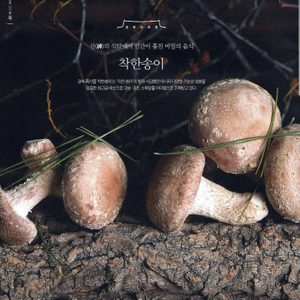 송향 착한송이버섯