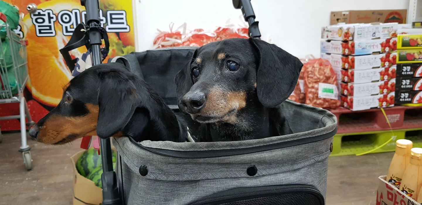 에스할인마트