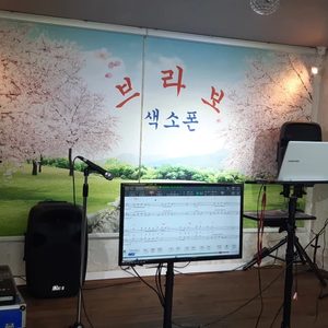 색소폰(브라보색소폰)