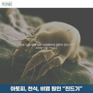 🎁아토피, 비염, 천식의 원인 "진드기"🎁