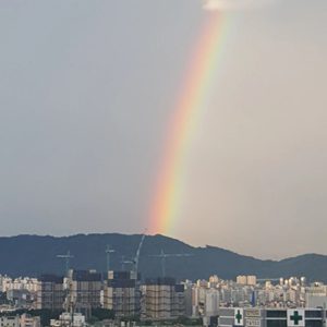 철봉(치닝디핑) 차칸철봉/힘콩철봉/토탈철봉 삽니다.