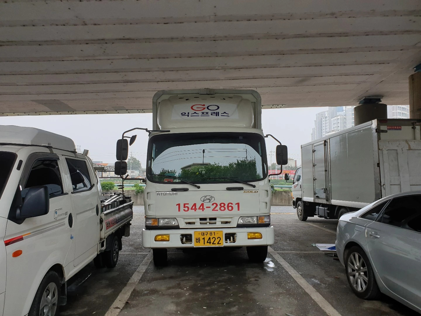 GO익스프레스