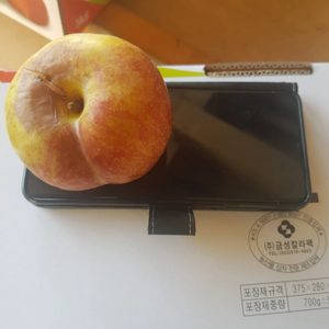 무실마을