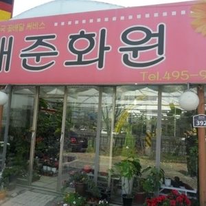 대준화원