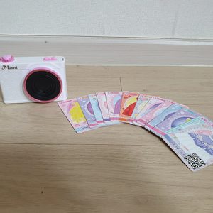 미미디카 미미코디디카 판매