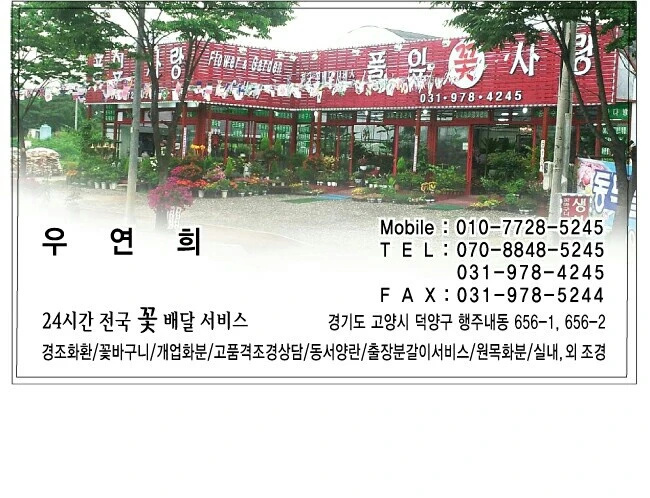 동막골풀잎사랑