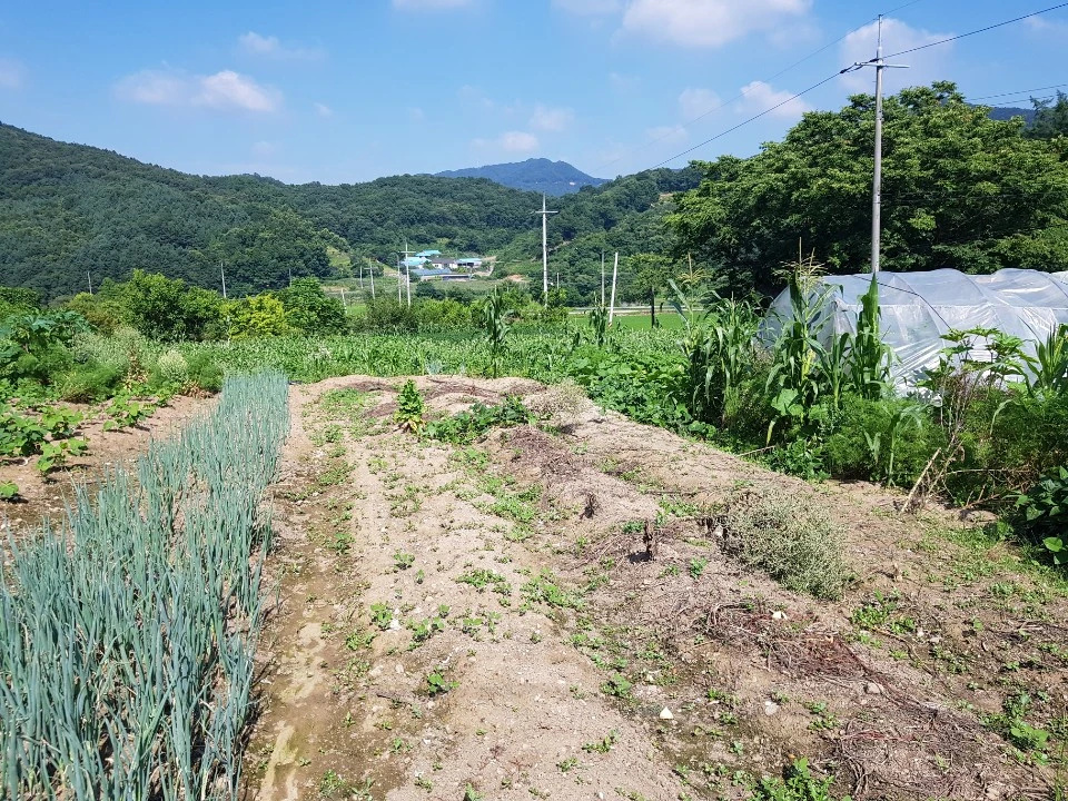 ^^ 주말농장/농막부지 6,500만 ^^ - 충청남도 아산시 탕정면 | 비즈프로필 ^^ 주말농장/농막부지 6,500만 ^^ - 충청남도 아산시 탕정면 | 비즈프로필