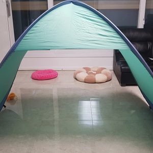 그늘막 순간설치그늘막
