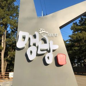 맹방비치캠핑장 캠핑데크 대형 8/5 1박