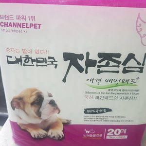 자존심패드 강아지배변패드 배변패드 강아지패드