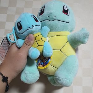포켓몬거북이