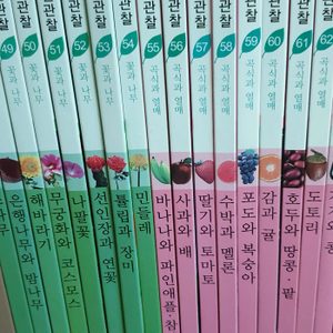자연관찰 연두비자연관찰 전권82권