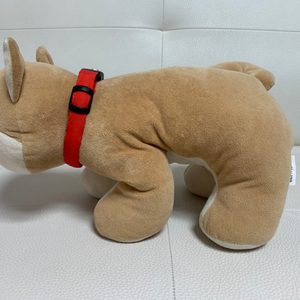 강아지 목줄 (불빛목줄/조명목줄/인싸목줄)
