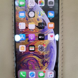 아이폰 XS MAX. 256GB. (IPHONE XS MAX)