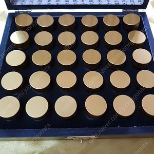 경옥고 30환(새제품) 경옥고환