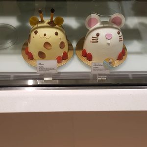 쭈꾸미낚시대 및 릴 삽니다