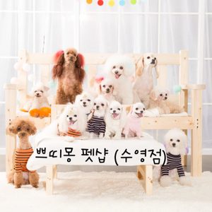 애견가위컷전문샵 ,강아지미용잘하는곳 쁘띠몽펫샵