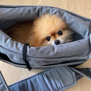 코지힙 cozyhip 슬링백 그레이컬러 강아지가방 이동가방 애견슬링백 크로스백