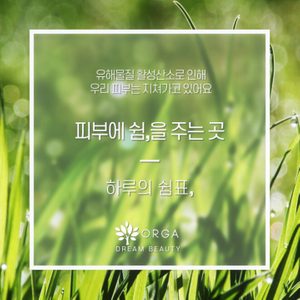 🌱모공속 관리부터시작하세요 🧏🏼♀️ 피부디톡전문 여드름|홍조|미백|탄력|탈모.속눈썹펌
